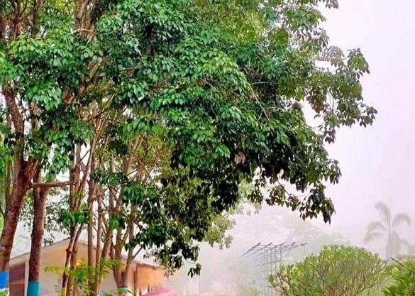 ฮักฮิมเกี๋ยน รีสอร์ท น่าน Hug Him Kien