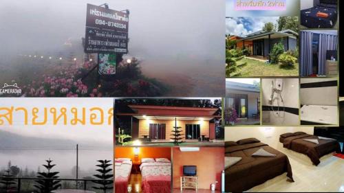 เฟรนด์แคมป์