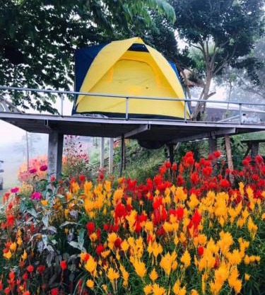 แม่ป้อมโฮมสเตย์ ลานกางเต้นท์ริมโขง