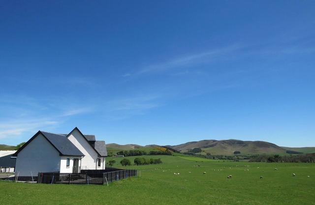 1 bedroom accommodation in Kilbucho, near Biggar