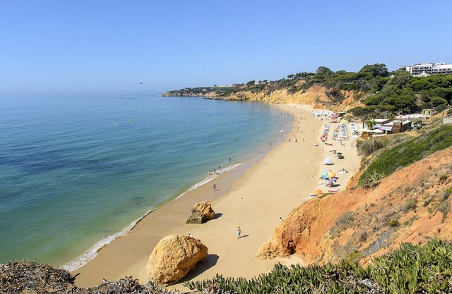 1 bedroom apartment with terrace and BBQ, 800m from the beach