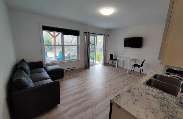 1 bedroom apt with parking for short -midterm stay