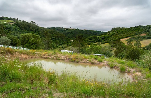 1 Bedroom Apartment in Sobral da Abelheira