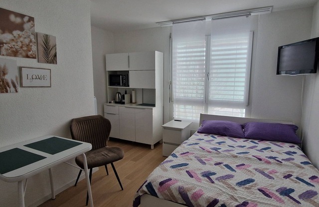 1 room studio with private bathroom and near the rhein