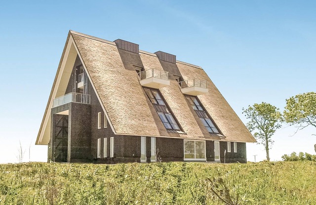 10 bedroom lovely home in Wierum