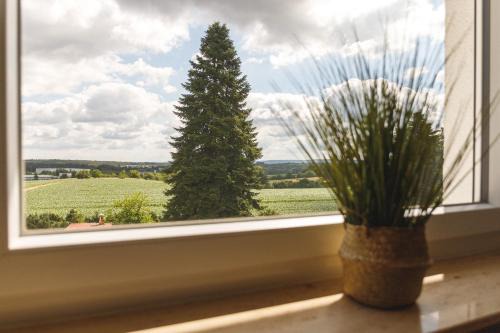 100 qm DG Wohnung 《Kehr wieder》Bexbach Saarland