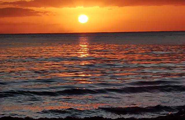 129Nght Sep/Oct Cozumel 2 Bdrs Villa Beach/OceanFront Snorkeling Diving Paradise