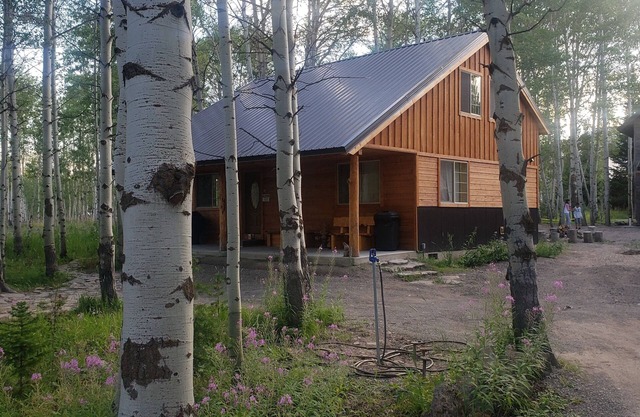 15 min to Yellowstone. Newly built in 2018 this cabin is meticulous . WIFI ÷ AC