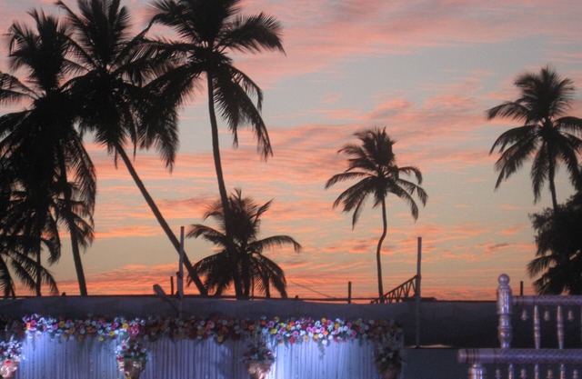 15 min walk to beach, swim pool in season, beautiful garden, cook on request