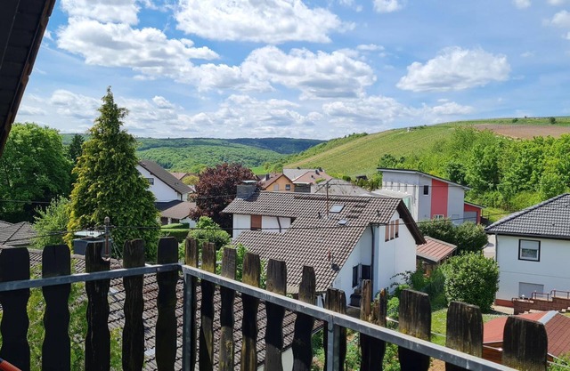 2-bed apartment (30 sqm) - castle view - winery and holiday apartment Erbacher Hof