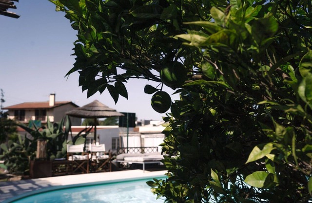 2 Bedroom Traditional Apartment, Garden View