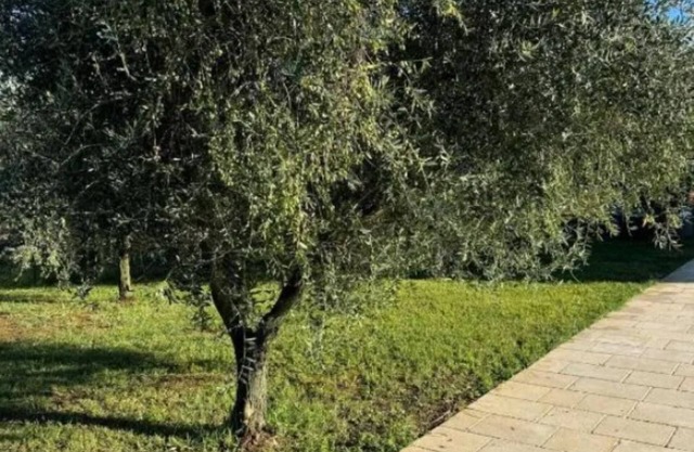 2 BR House/Balcony - Tenuta Il Poggio Teano