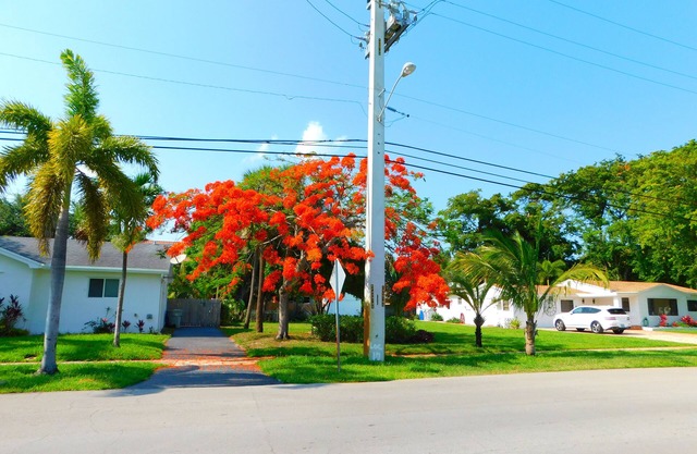 2 HOMES Side By Side, 8Bedroom,6.5 Bath,14Bed, Huge! Sand Volleyball, Crew, Team