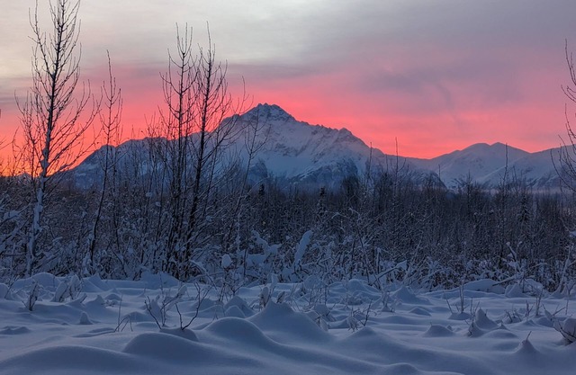 2 Master Suites-The Mountain View Chalet @ Abby's Place