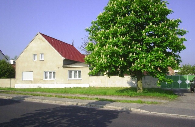 2 vacation apartments for 5 to 8 people in a city location, near Kiebitz Lake