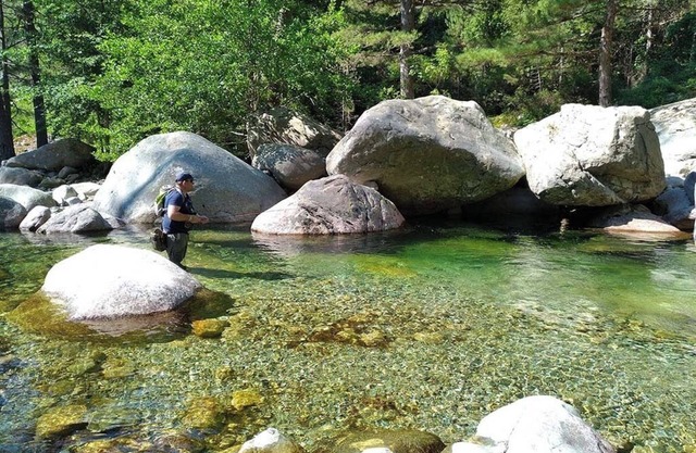 25mn Ajaccio/beaches 2mn river. Linen parking