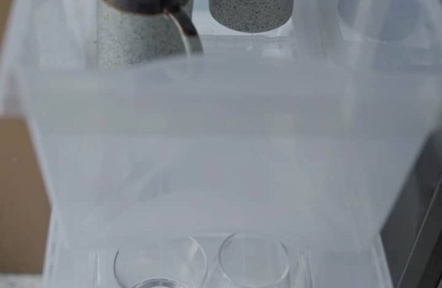 2BHK Boho Flat Near Benaulim Beach