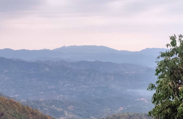 3 bedroom penthouse - Shimla