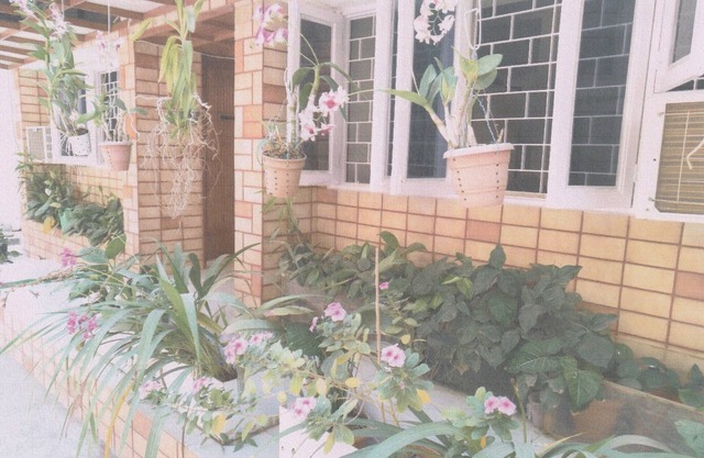 3 bedrooms on first floor of a bungalow. Good for 6 adults,