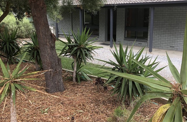 3 Br house - Walk to Beach, Scrub, Parks and Cafe. Short drive to Wineries.