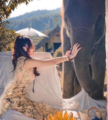 3 Pok Maewang jinxiang Gold elephant park