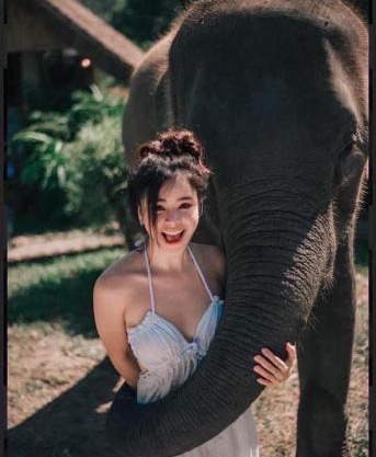 3 Pok Maewang jinxiang Gold elephant park