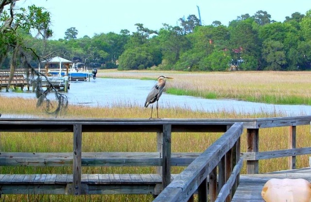 3 Room-Stunning Home Apartment on Gorgeous Waterfront | Deck-Dock-Kayaks-Views