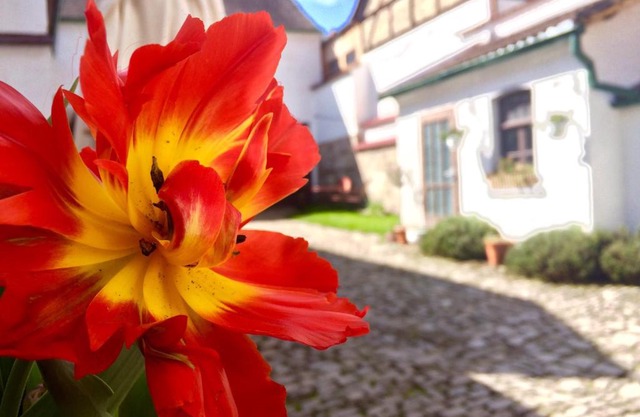 3 Seiten Ferienwohnung