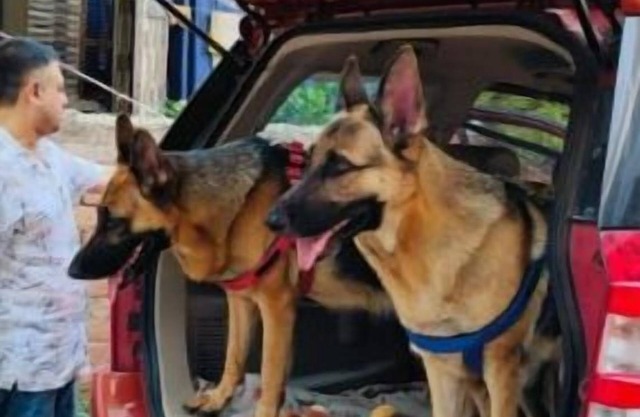 3BK Luxury stay at Kanti Villa Ground floor