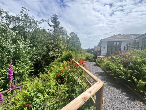 4 Bed in Llanidloes 95968