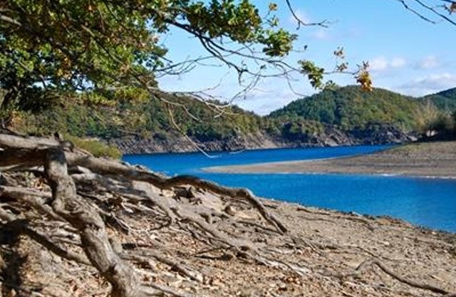 4-bed vacation apartment (type D) - Ferienwohnungen Haus Panorama