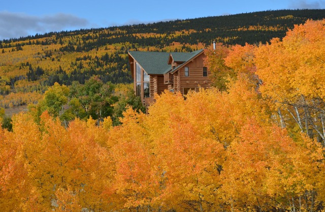 4 Primary Suites!,Private fishing, Ski at Breck or Monarch, Sauna