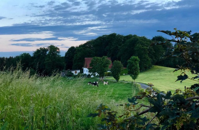 4-Zimmer Apartment auf Resthof