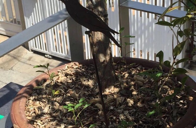 4BR, Cozy & Fashionable house