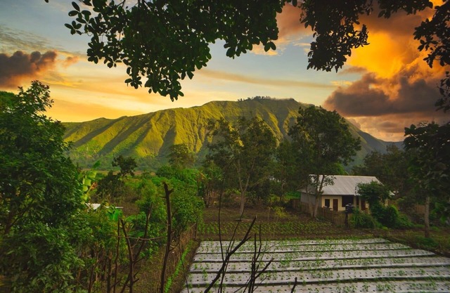 5 minutes walk to the gate of the Rinjani Mount Trekking Centre in Sembalun.