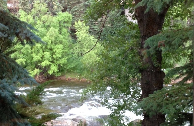 5BR, 4 1/2 BA Dog friendly retreat. Close to Beaver Creek. On Eagle River
