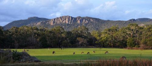 A Boat in the Grampians