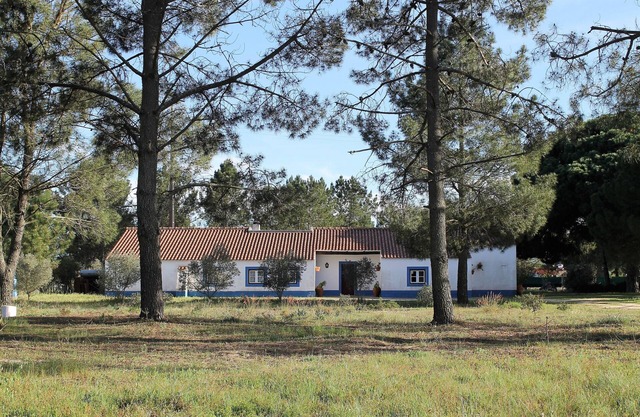 A Casa do Pinheiro tem uma Área de 5.000m2 com Piscina