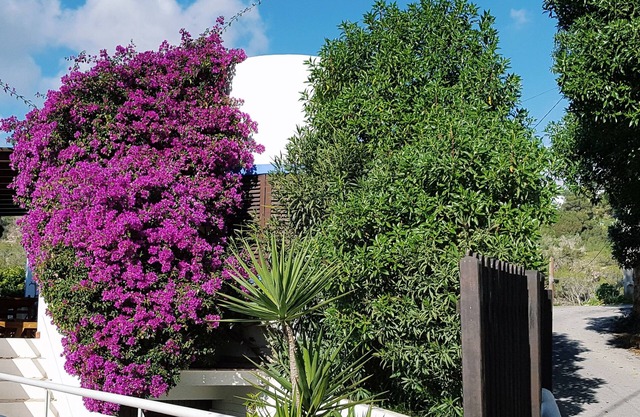 A charming house next to the beach; ideal for couples and families with children