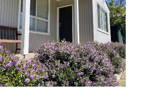 A cosy and quiet retreat, walking distance to town and Eildon pondage.