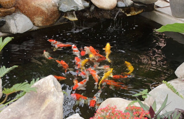 A cozy house for friend who want to share the joyful and peaceful together!