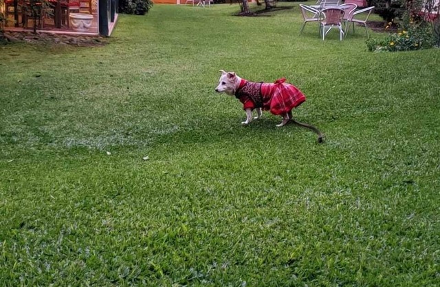 A great apartment in Gramado