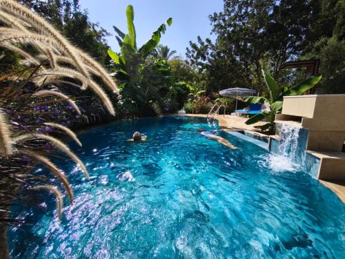 A historic STONE VILLA with private garden, terrace and private pool just for you