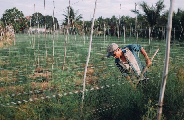 A homey homestay in a typical Vietnamese countryside, lovely price.