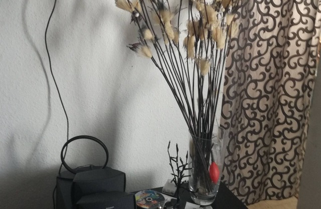 A natural surounded appartment