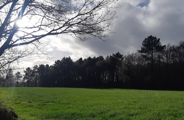 A nice place and cottage in the countryside. Pets welcome