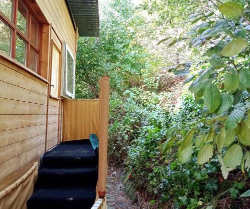 A-Sissy-Hof Tierschutzhof