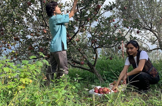 A space for learning and living the practices of farming, yoga, and ceramics.