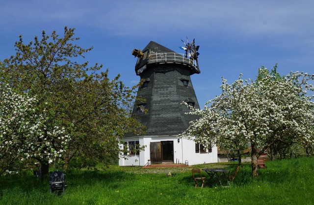 A windmill to fall in love with, family and dog-friendly with a large garden