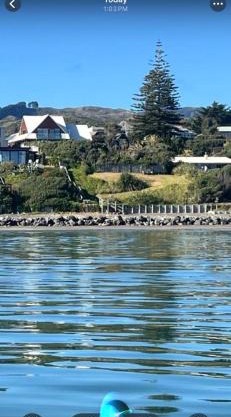 Absolute Beachfront Holiday Home With Private Beach Access To Swim Beach Spectacular Sunsets